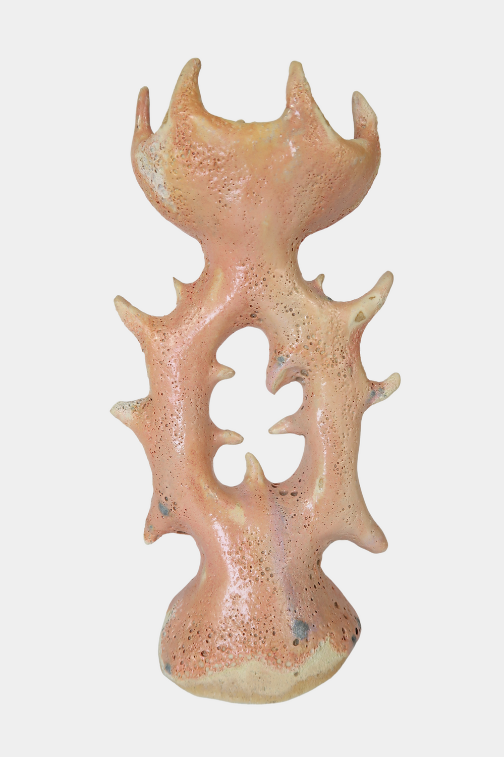 Corallite Candleholder