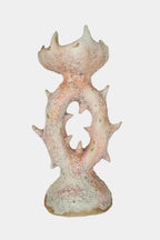 Corallite Candleholder - LAGREV