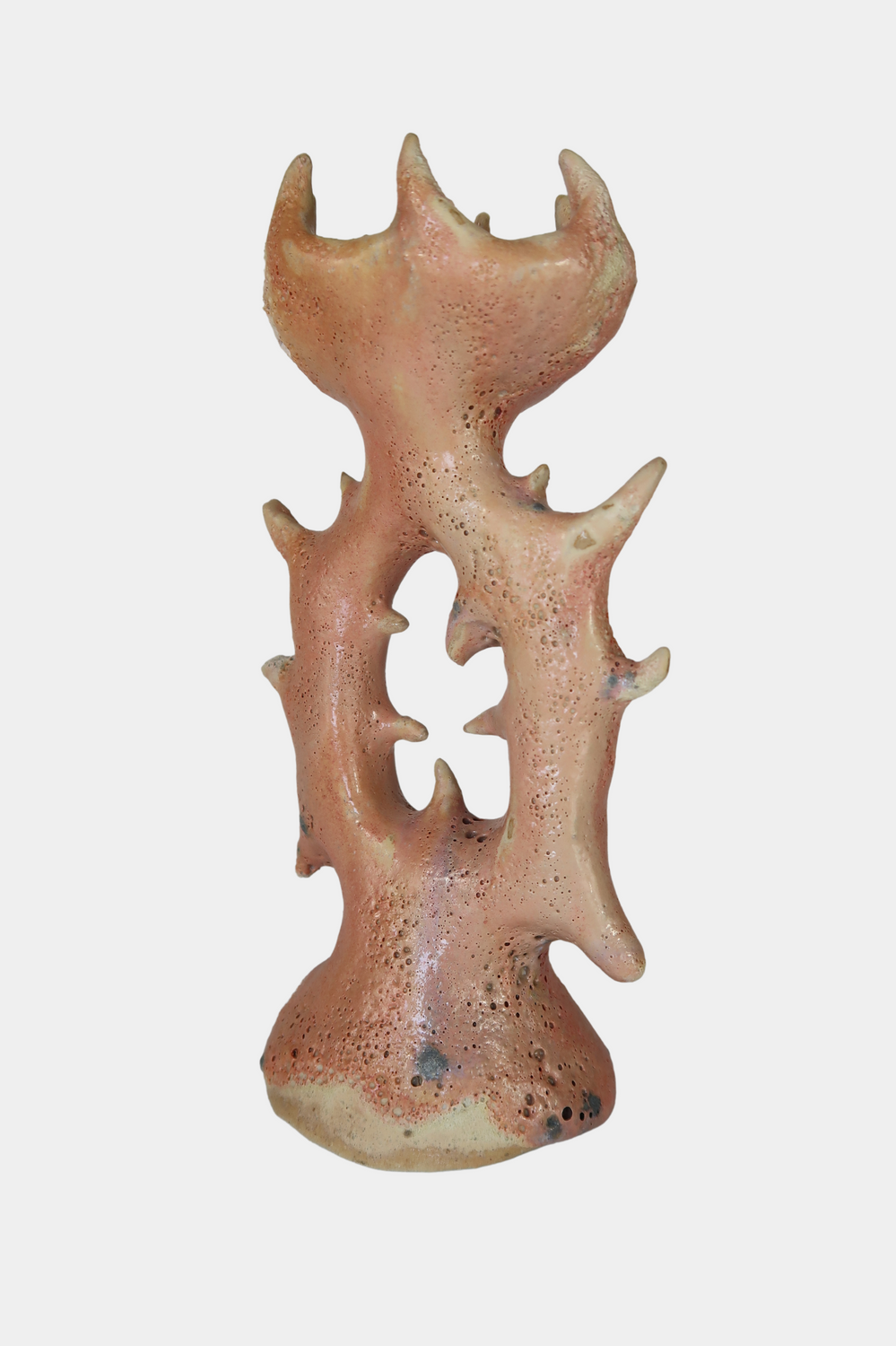 Corallite Candleholder