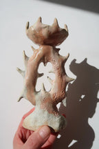 Corallite Candleholder - LAGREV