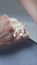 Ring 00111 - LAGREV