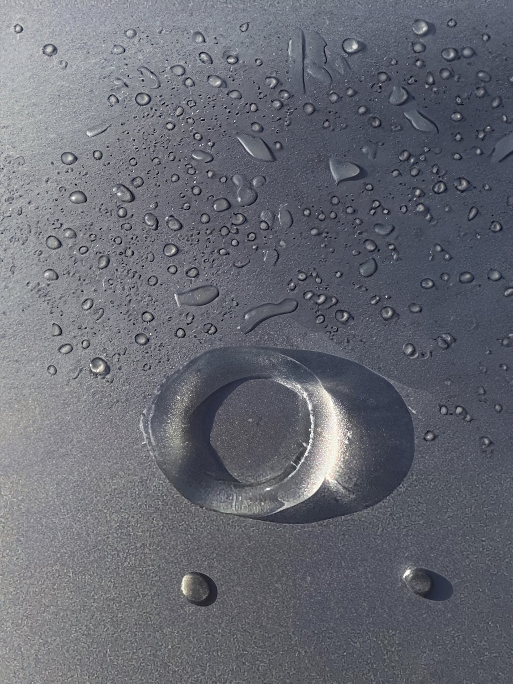 Ring 00031