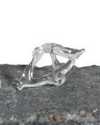 Ring 00111 - LAGREV